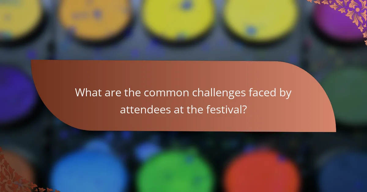 What are the common challenges faced by attendees at the festival?